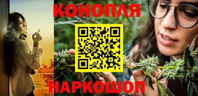 шишки Волгодонск