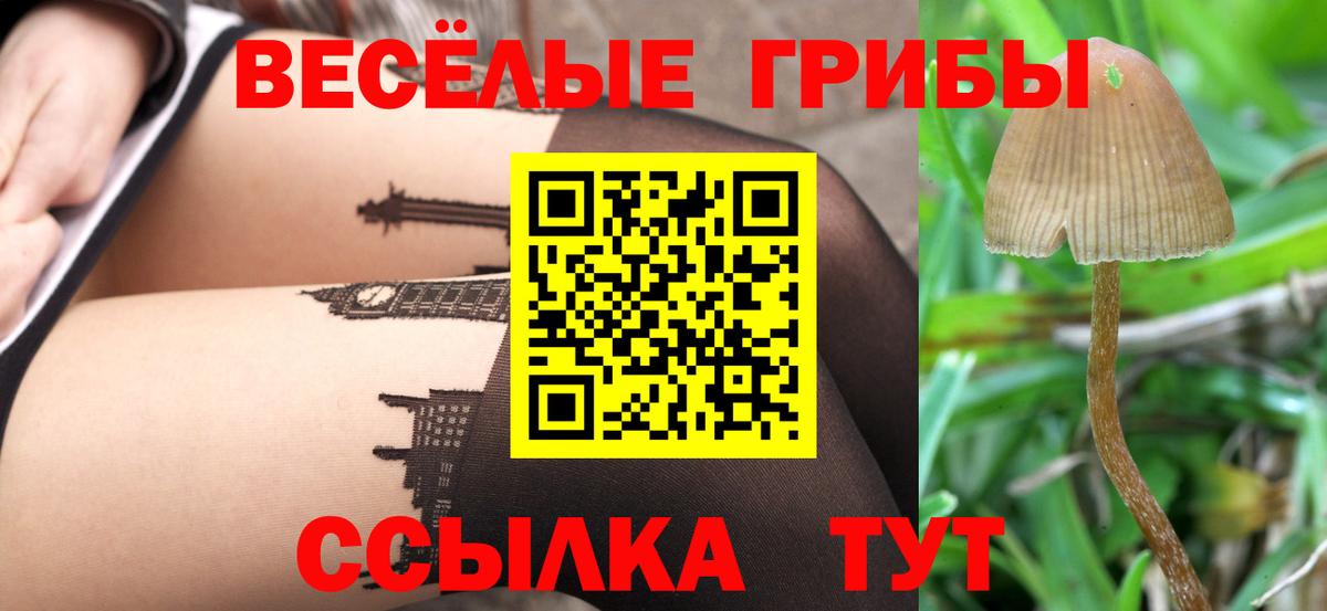 Псилоцибиновые грибы MAGIC MUSHROOMS  Вход с VPN  сколько стоит  Грязи 