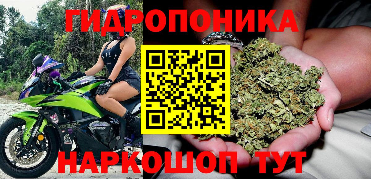 Бошки Шишки планчик  МАРИХУАНА конопля  Грязи  Бошки марихуана ГИДРОПОН  Вход с VPN 